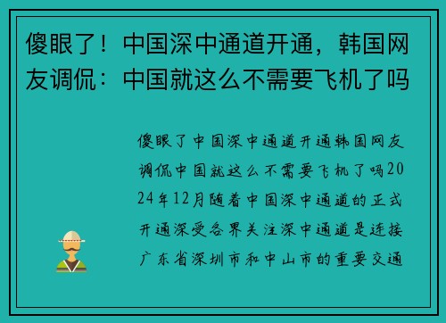 傻眼了！中国深中通道开通，韩国网友调侃：中国就这么不需要飞机了吗？